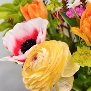 Gėlė Anemonas